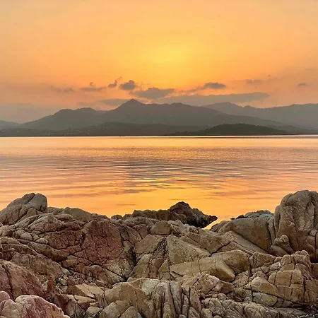 Punta Est Trilocale Splendida Vista Mare Capo Coda Cavallo